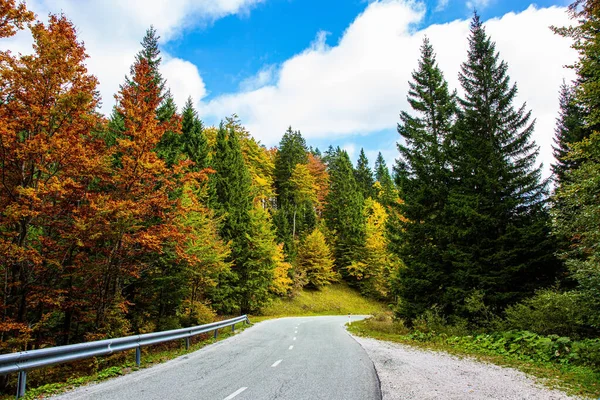 Красивая Мощеная Дорога Среди Живописных Осенних Лесов Живописные Джулианские Альпы — стоковое фото