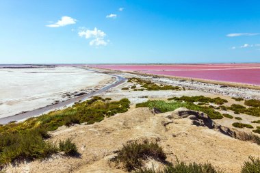 Pembe Tuzlu Su Estuary. Fransa 'nın Akdeniz kıyıları, Camargue' nin küçük bir bölgesi. Büyük doğa rezervleri tuzlu su ve kum tepelerini içerir. Çevre ve fotoğraf turizmi kavramı
