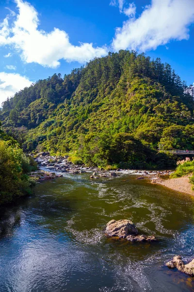 Путешествие Новую Зеландию Северный Остров Ущелье Карангахаке Река Течёт Среди — стоковое фото