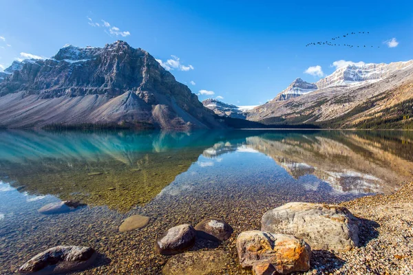 高山和阳光反射在平静的湖水中 冰湖鞠躬 清澈碧水 秋天里阳光灿烂 加拿大 落基山脉 — 图库照片