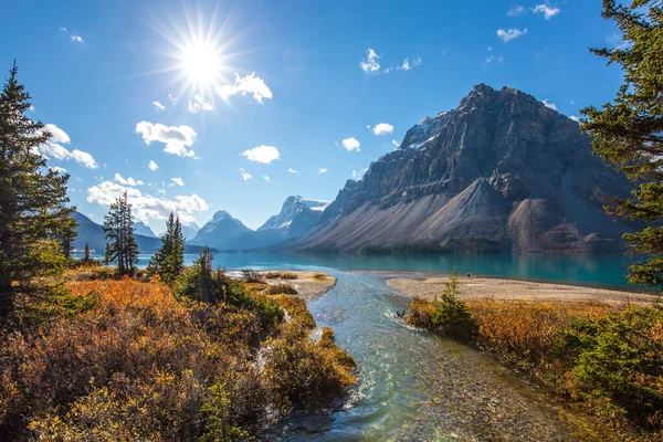阳光反射在弓湖中 加拿大雄伟的落基山脉 艾伯塔省冰湖碧绿清澈的水 湖畔的云杉和松树 — 图库照片
