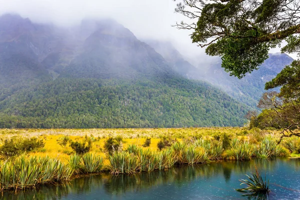 Misty Πρωί Στο Δρόμο Για Milford Sound Σύννεφα Και Ομίχλη — Φωτογραφία Αρχείου