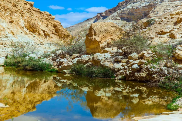 峡谷的斜坡反映在水中 江津流经内盖夫沙漠的峡谷艾文达特 以色列的春天 摄影和积极旅游的概念 — 图库照片