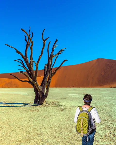 Woman with a green backpack is watching the landscape. Huge orange dunes and dry trees in dry lake Sussussflay. Grand trip to Namibia, Namib Naukluft desert. The concept of exotic tourism