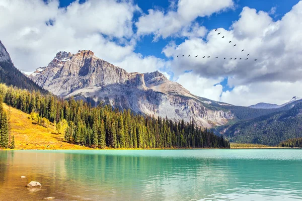 Magnifik Emerald Lake Pittoresk Stor Sjö Kanadensiska Klippiga Bergen Tidig — Stockfoto