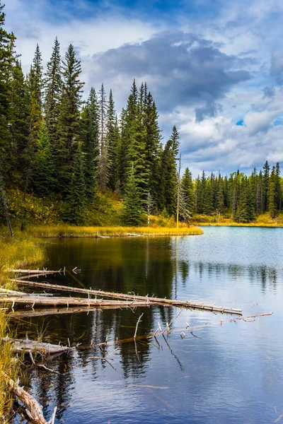 Lugn Sjö Omgiven Skog Och Gult Höstgräs Rocky Mountains Kanada — Stockfoto