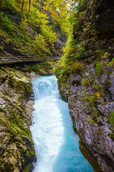 Fiume Montagna Sulle Pendici Della Gola Posato Camminamenti Legno Con — Foto Stock