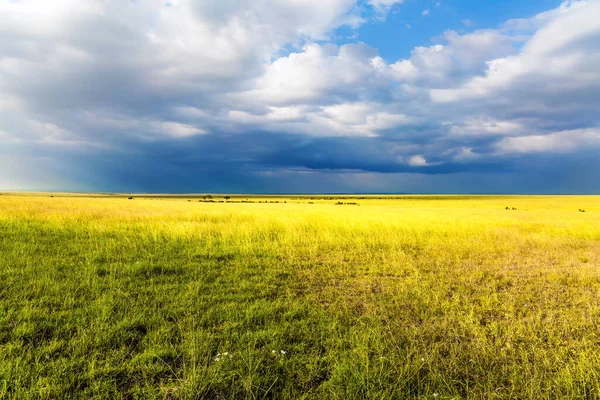 Horn Africa Travel Tropical Africa Gorgeous Cumulus Clouds Pile Grassy — Stock Photo, Image