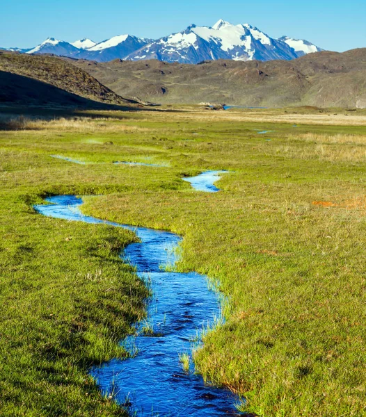 Petites Flaques Eau Ruisseaux Recouverts Herbe Les Pampas Entourent Les — Photo