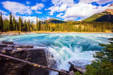 Jasper Parkı. Dağlar, nehir ve şelale muhteşem bir manzara oluşturur. Kanada Kayalıkları 'nda resim gibi dar bir vadi. Meşhur haşin Athabasca Şelalesi