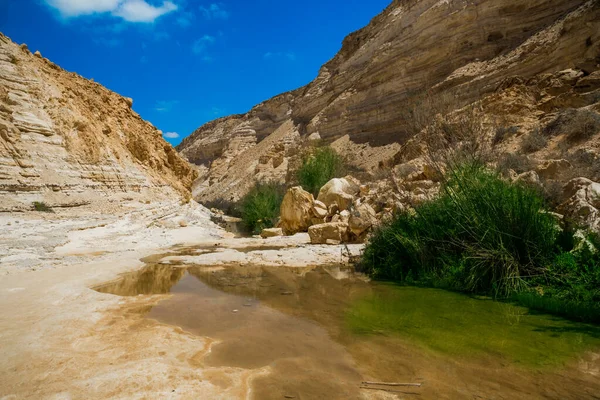 Die Schlucht Ein Avdat Wird Vom Wasser Des Qing Flusses — Stockfoto