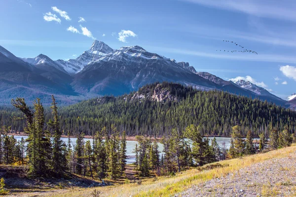 Die Scharfen Gipfel Der Rocky Mountains Sind Vor Dem Blauen — Stockfoto