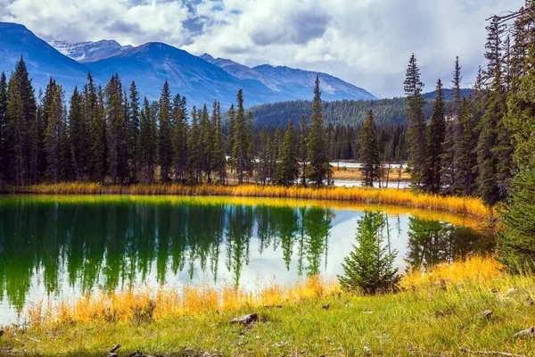 冷たい緑色の水で小さな丸い湖 カナダのロッキー山脈 針葉樹林は水に反映されます ジャスパーパークの壮大な風景 インドの夏 旅行と写真観光のコンセプト — ストック写真