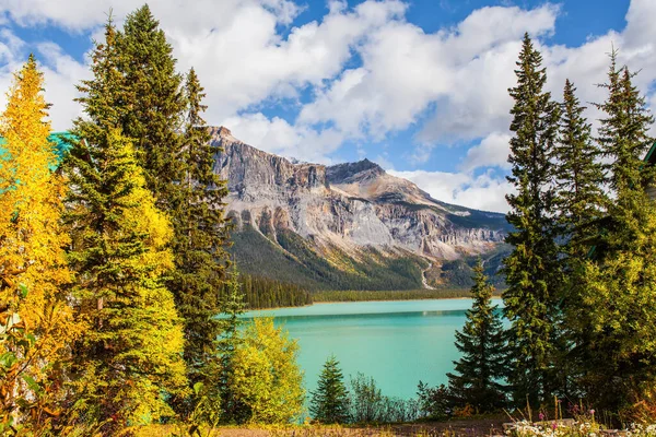 Bosque Coníferas Picos Montaña Rodean Lago Con Agua Azul Temprano —  Fotos de Stock