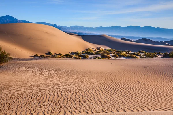 アメリカ カリフォルニア州 簡単にアクセスできる砂丘は道路190に沿って位置しています 魔法の砂漠の朝 非常に平らな砂丘 デスバレーの砂丘 アクティブと写真観光の概念 — ストック写真