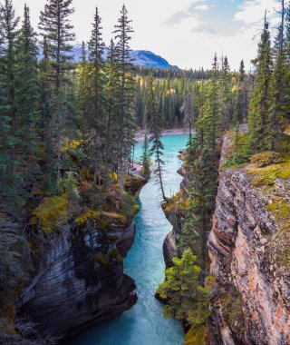Athabasca Nehri Jasper Park 'taki Columbia Buzulu' nda başlar. Kanada mı? Dağlar, nehirler ve şelaleler muhteşem manzaralar oluşturur. Seyahat, ekoloji ve fotoğraf turizmi kavramı
