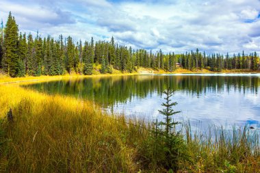 Pürüzsüz su bulutlu gökyüzünü yansıtır. Orman ve sarı sonbahar otlarıyla çevrili sessiz sığ bir göl. Kanada 'nın Rocky Dağları. Ekolojik, aktif ve fotoğraf turizmi kavramı