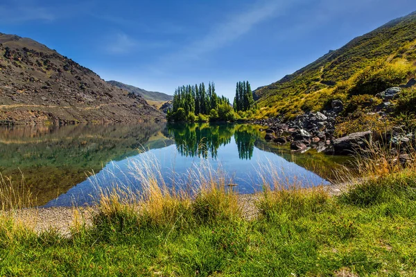 柏树小巷反映在湖中 南岛的美丽 新西兰南部阿尔卑斯山 蓝天和淡云 生态和摄影旅游的概念 — 图库照片