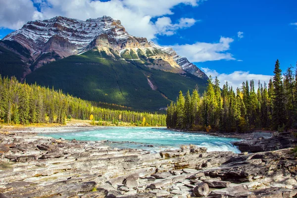 Kanada Smält Azurvatten Från Athabasca Floden Barrskog Berg Och Flod — Stockfoto