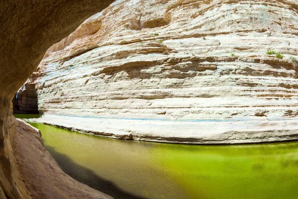 Kanion Ein Avdat Tworzy Rzeka Qing Izrael Zielone Lustrzane Jezioro — Zdjęcie stockowe