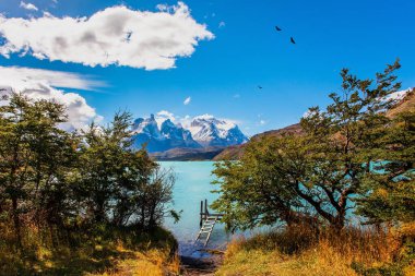 Patagonya And Dağları 'ndaki Pehoe Gölü. Eriyen buzullardan akan parlak gök mavisi suyla dolu dev bir göl. Los Cuernos 'un göl kenarındaki ünlü karlı uçurumları. Şili 'ye Seyahat