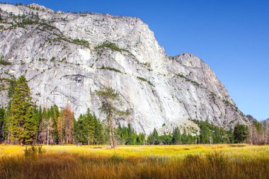 Yosemite Parkı - Kaliforniya, ABD 'de büyük ve pitoresk bir park. Sierra Nevada 'da. Vahşi doğaya harika bir yolculuk. Yosemite Vadisi 'ni saran görkemli dağlar.