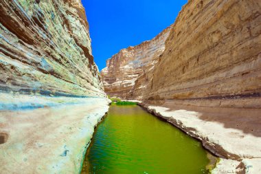 Ein Avdat kanyonu, Negev Çölü 'ndeki Qing Nehri tarafından kurulmuştur. Kanyonun sarp duvarlarında birçok mağara var. Küçük bir gölün yeşilimsi ayna suyu. İsrail