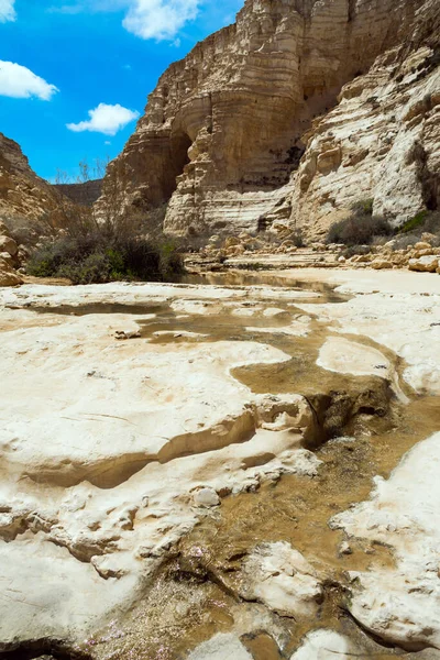 宏伟的埃文达特峡谷是内盖夫沙漠中最美丽的峡谷 启动路线 摄影旅游的概念 墙里有许多山洞和岩石 以色列 — 图库照片