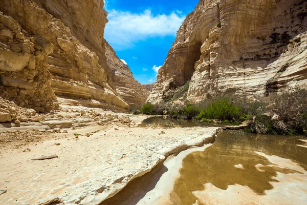 イスラエルだ 渓谷の壁は洞窟によって腐食されている 出発だ 渓谷は清河の水によって形成されます アヴダトの峡谷はネゲヴ砂漠で最も美しい — ストック写真
