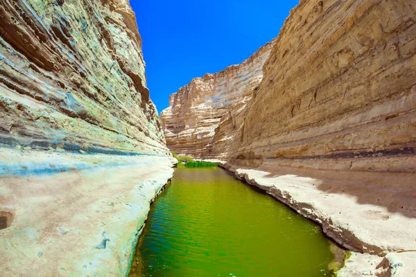 Каньйон Ейн Авдат Утворений Річкою Цін Пустелі Негев Крутих Стінах — стокове фото