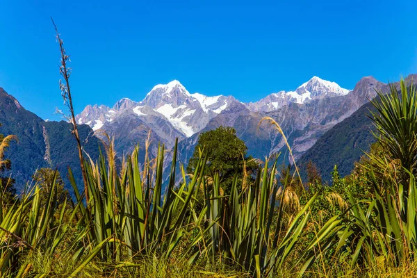 Mount Cook Mount Tasman Cestě Jezeru Matheson Exotická Cesta Konec — Stock fotografie