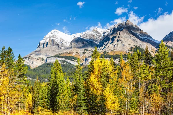 Geweldige Indiase Zomer Canadese Rockies Eerste Sneeuw Toppen Gevallen Het — Stockfoto