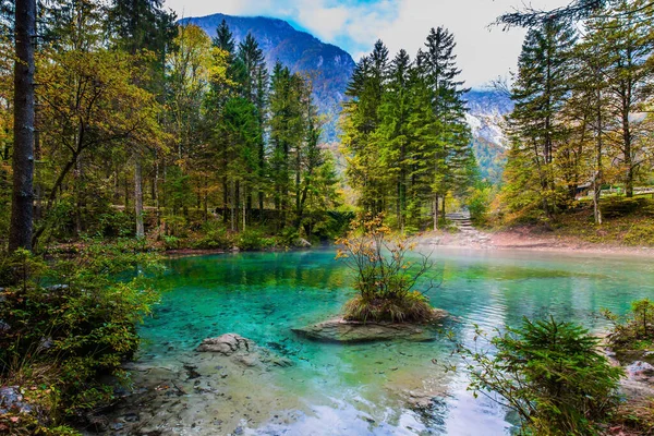 斯洛文尼亚 Julian Alps 风景如画的浅湖 绿水冰封 轻雾从水面升起 山谷中的秋天森林 — 图库照片