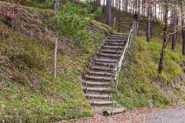 Escaliers Bois Sur Une Colline Herbeuse Magnifique Ombrie Décembre Les — Photo