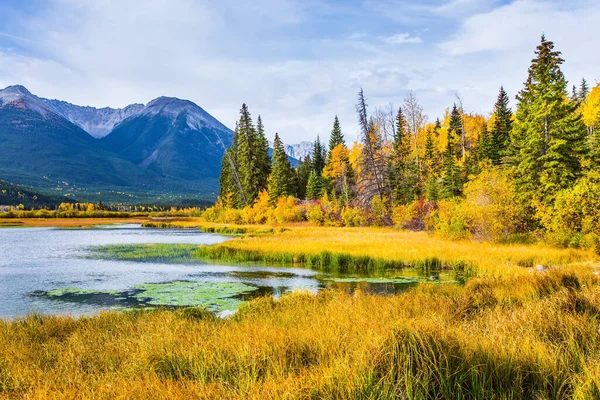 Reis Naar Noordelijke Herfst Grandioos Landschap Rocky Mountains Van Canada — Stockfoto