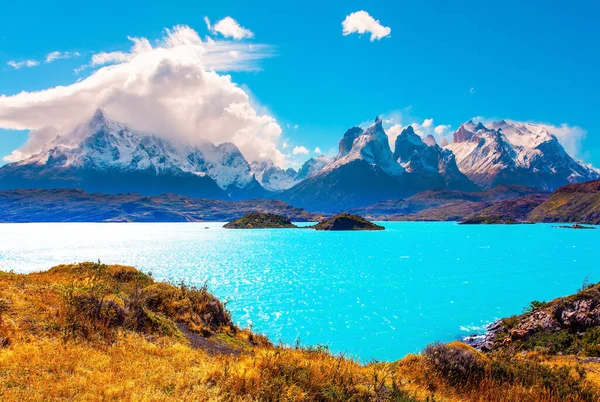 Lac Pittoresque Pehoe Dans Les Andes Patagoniques Énorme Lac Avec — Photo