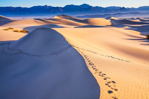 Usa Easily Accessible Dunes Located Road 190 Magical Desert Morning — Stock Photo, Image