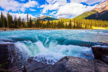  Meşhur haşin Athabasca Şelalesi. Jasper Parkı. Dağlar, nehir ve şelale muhteşem bir manzara oluşturur. Kanada Kayalıklarında resim gibi dar bir vadi