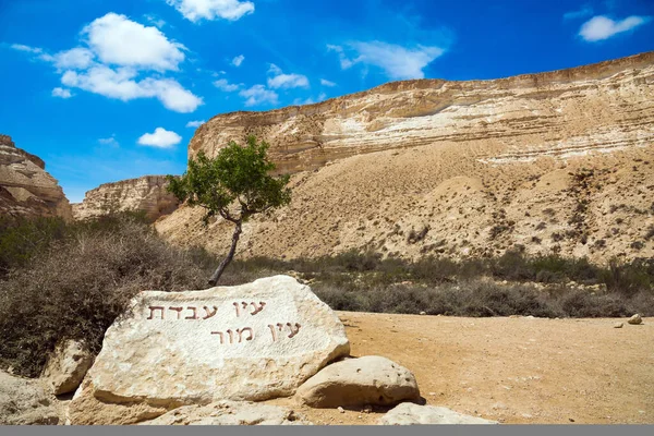 Start Route Prachtige Kloof Ein Avdat Mooiste Negev Woestijn Binnen — Stockfoto