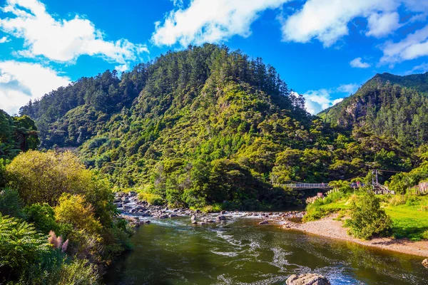 Rivier Stroomt Tussen Verlaten Goudmijnen Reis Naar Nieuw Zeeland North — Stockfoto