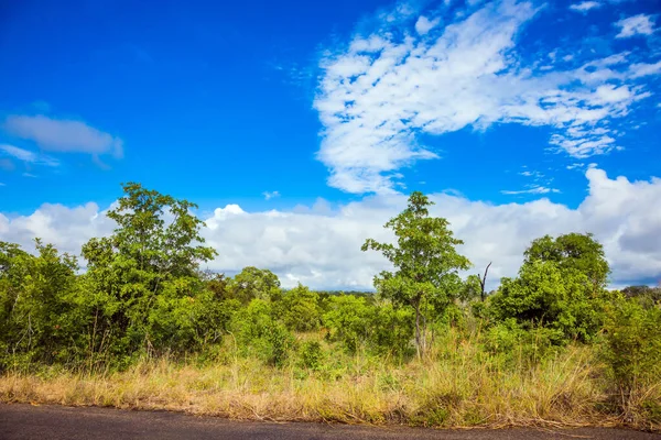 Famous Kruger Park South Africa Dirt Narrow Road Tourists Animals — Stock Photo, Image