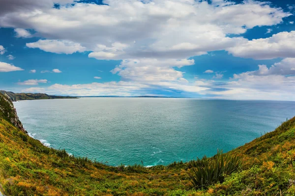 Ripidi Pendii Della Costa Erbosa Nuova Zelanda Oceano Pacifico Vicino — Foto Stock