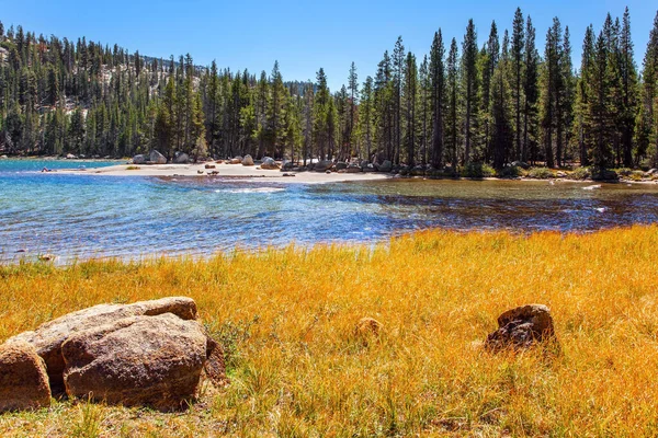 Tioga Road Yosemite Park Solen Bländar Sjöns Genomskinliga Vatten Gulfärgat — Stockfoto