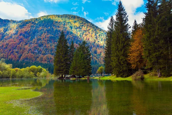 黄色和橙色的树反映在湖水的绿色平缓中 福兹纳湖阿尔卑斯山 意大利北部和斯洛文尼亚边界 — 图库照片