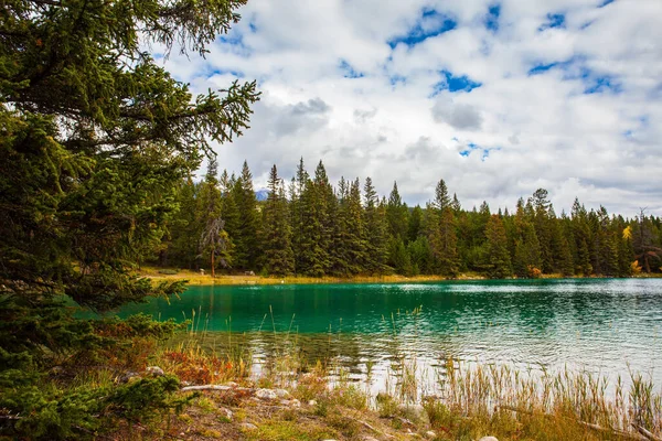 Аннетське Озеро Гарне Озеро Холодною Зеленою Водою Чудовий Пейзаж Парку — стокове фото