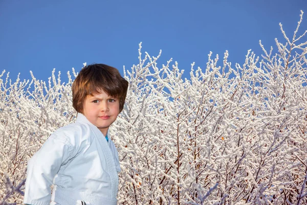 新年快到了 一个穿着柔道制服的英俊男孩接受柔道训练 冬季森林里寒冷多雪 阳光灿烂的一天 — 图库照片