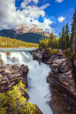  Meşhur haşin Athabasca Şelalesi. Dağlar, nehirler ve şelaleler muhteşem manzaralar oluşturur. Jasper Parkı. Kanada 'nın Rocky Dağları. Seyahat ve ekolojik turizm kavramı