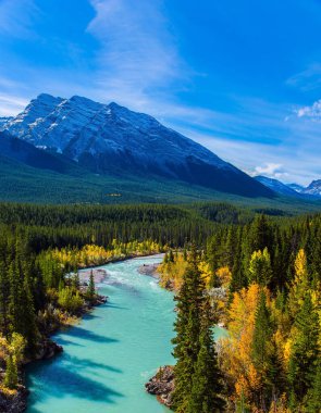 Abraham Lake 'in resimli kıyıları. Huş ağacında ve kavak ağacında altın sonbahar. Kanada 'nın Rocky Dağları' ndaki dağ vadisi. Etkin, ekolojik ve fotoğraf turizmi kavramı