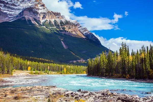 Smält Azurvatten Från Athabasca Floden Barrskog Berg Och Flod Utgör — Stockfoto