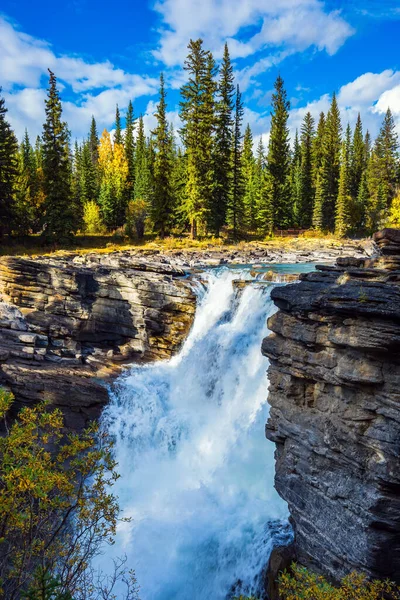 有名な頑丈なアサバスカ滝 カナダのロッキー山脈の絵のような狭い峡谷 川や滝の壮大な風景を構成します ジャスパーパーク — ストック写真